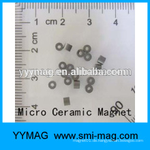 Hochwertiger maßgeschneiderter Mikro- / Mini-kleiner Ringmagnet